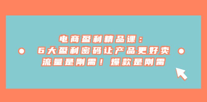 电商 盈利精品课:6大盈利 密码让产品更好卖,流量是刚需!爆款是刚需-悟空知识星球