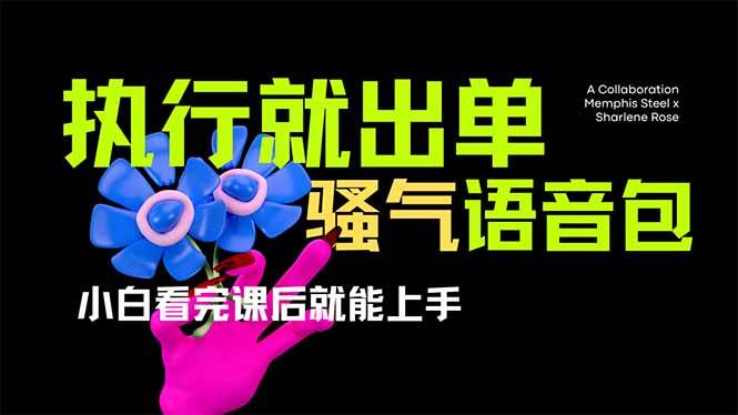 （14170期）爆火全网的开车导航骚气语音包,只要执行就出单，小白看完课程就能实操…-悟空知识星球