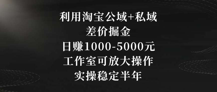 利用淘宝公域+私域差价掘金，日赚1000-5000元，工作室可放大操作，实操稳定半年【揭秘】-悟空知识星球