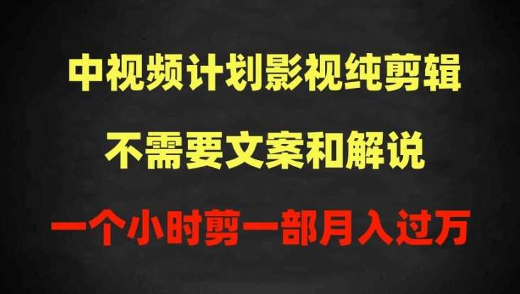 中视频计划影视纯剪辑,不需要文案和解说,一个小时剪一部,100%过原创月入过万【揭秘】-悟空知识星球