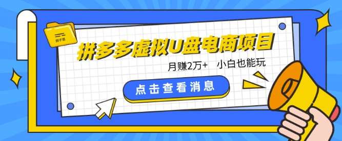 拼多多虚拟U盘电商红利项目：月赚2万+，新手小白也能玩-悟空知识星球