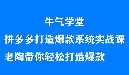 牛气学堂拼多多打造爆款系统实战课，老陶带你轻松打造爆款-悟空知识星球