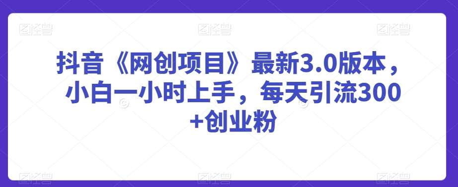 抖音《网创项目》最新3.0版本，小白一小时上手，每天引流300+创业粉【揭秘】-悟空知识星球