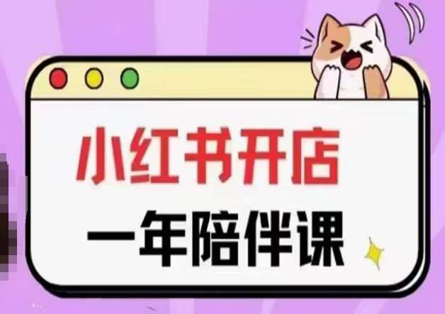 三九小红书开店一年陪伴课(更新)，从0到1玩赚小红书开店-悟空知识星球