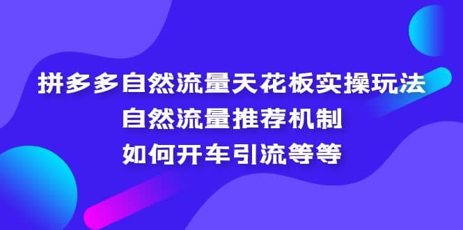 拼多多自然流量天花板实操玩法：自然流量推荐机制，如何开车引流等等-悟空知识星球