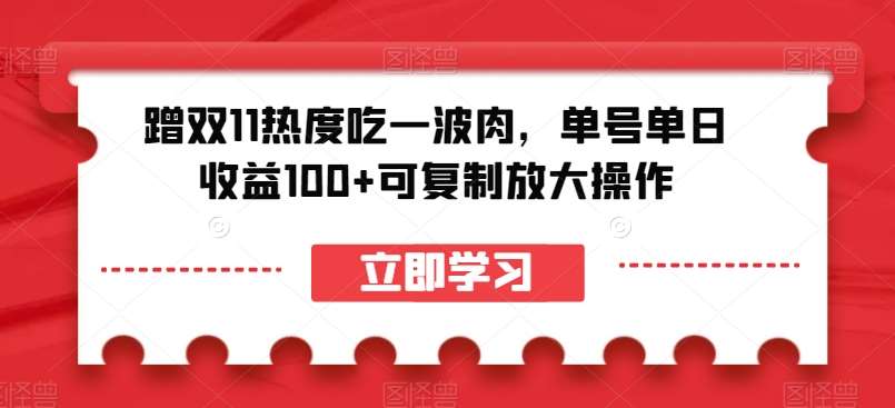 蹭双11热度吃一波肉，单号单日收益100+可复制放大操作【揭秘】-悟空知识星球
