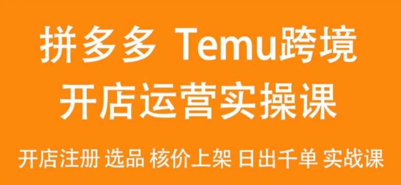 2024Temu最新玩法，Temu跨境开店运营实操课，开店注册/选品/核价上架/日出千单实战课-悟空知识星球