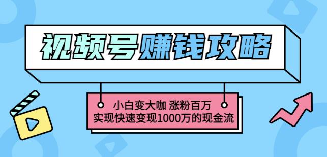 玩转微信视频号赚钱：小白变大咖涨粉百万实现快速变现1000万的现金流-悟空知识星球