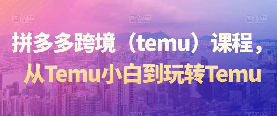 拼多多跨境（temu）课程，从Temu小白到玩转Temu-悟空知识星球