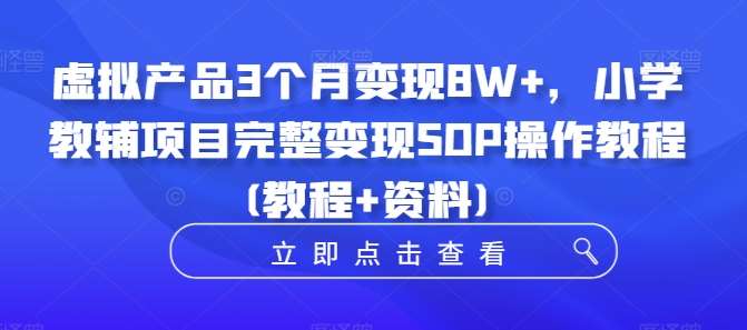 虚拟产品3个月变现8W+，小学教辅项目完整变现SOP操作教程(教程+资料)-悟空知识星球