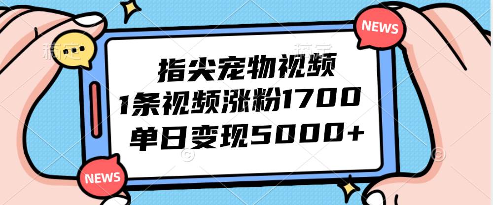（12549期）指尖宠物视频，1条视频涨粉1700，单日变现5000+-悟空知识星球