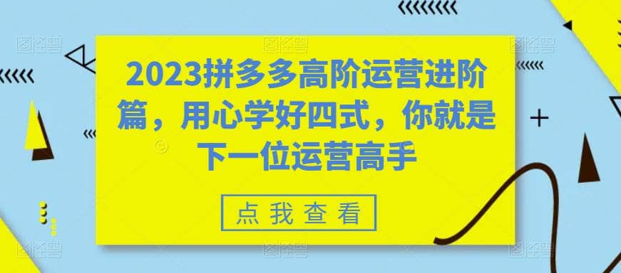 2023拼多多高阶运营进阶篇，用心学好四式，你就是下一位运营高手-悟空知识星球