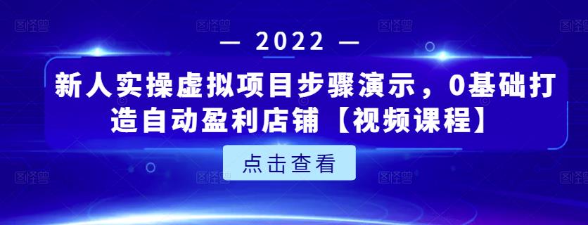 新人实操虚拟项目步骤演示，0基础打造自动盈利店铺【视频课程】-悟空知识星球