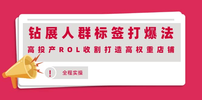 钻展人群标签打爆法，高投产ROL收割打造高权重店铺(全程实操)-悟空知识星球