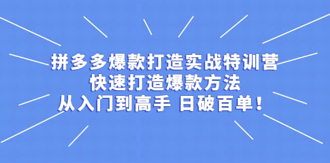 拼多多爆款打造实战特训营：快速打造爆款方法，从入门到高手 日破百单-悟空知识星球