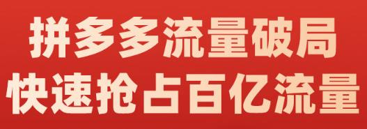 阿杰·拼多多流量破局:如何打黑标,爆款的思路,拼多多流量框架,快速抢占百亿流量-悟空知识星球
