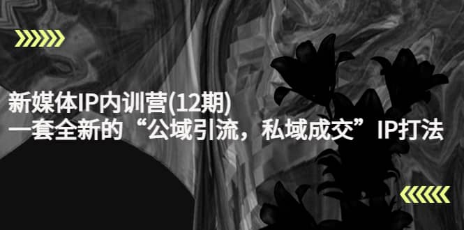新媒体IP内训营(12期)，一套全新的“公域引流，私域成交”IP打法，直接带走-悟空知识星球