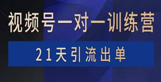 视频号训练营:带货,涨粉,直播,游戏,四大变现新方向,21天引流出单-悟空知识星球