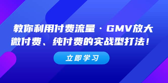 教你利用付费流量·GMV放大，微付费、纯付费的实战型打法-悟空知识星球
