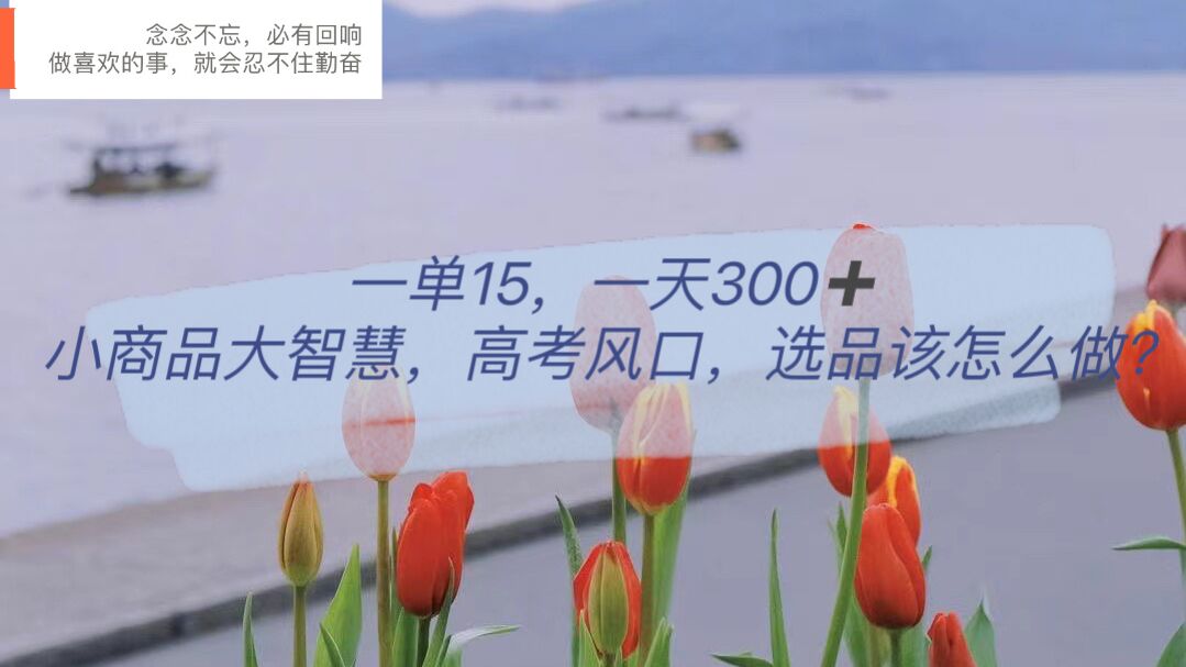 一单15，一天300+，小商品大智慧，高考风口，选品该怎么布局-悟空知识星球