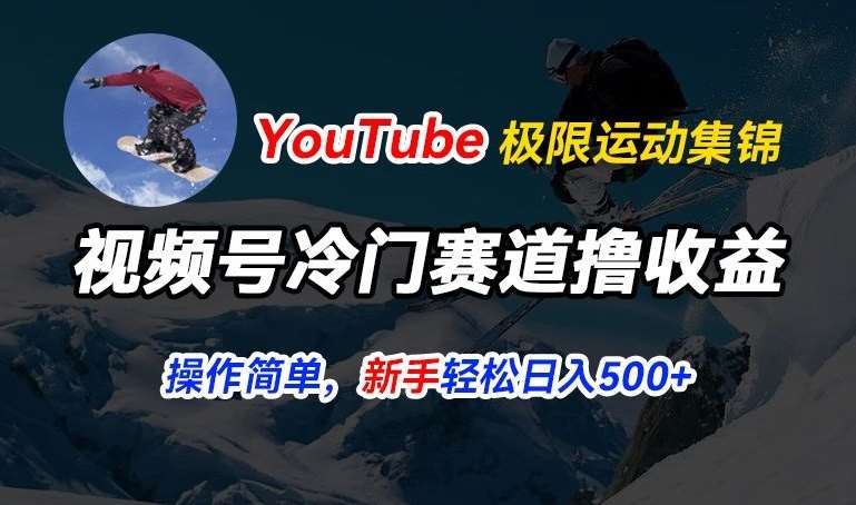 视频号冷门赛道撸收益，YouTube搬运极限运动集锦，暴力起号，操作简单流量高，轻松日入5张【揭秘】-悟空知识星球