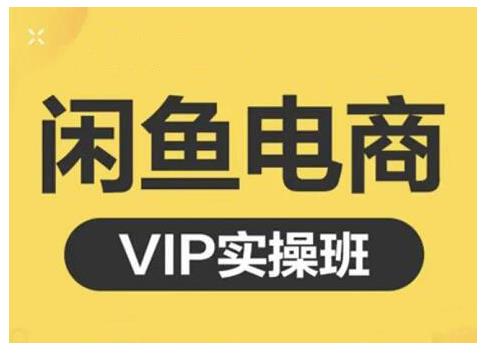 闲鱼电商零基础入门到进阶VIP实战课程，帮助你掌握闲鱼电商所需的各项技能-悟空知识星球