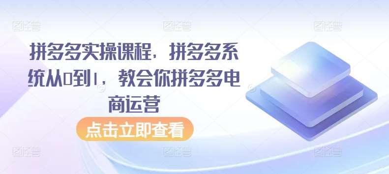拼多多实操课程，拼多多系统从0到1，教会你拼多多电商运营-悟空知识星球