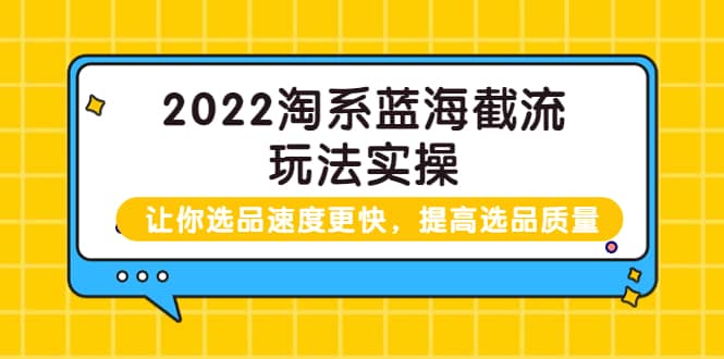 2022淘系蓝海截流玩法实操：让你选品速度更快，提高选品质量（价值599）-悟空知识星球