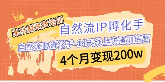 某社群收费培训：自然流IP 孵化手-14天线上实操训练营 4个月变现200w-悟空知识星球