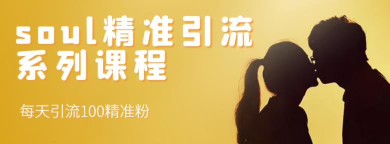 soul精准引流系列课程，每天引流100精准粉-悟空知识星球