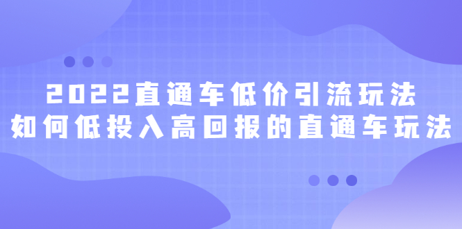 2022直通车低价引流玩法，教大家如何低投入高回报的直通车玩法-悟空知识星球