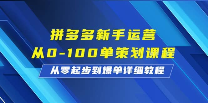 拼多多新手运营从0-100单策划课程，从零起步到爆单详细教程-悟空知识星球