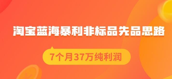 盗坤淘宝蓝海暴利非标品先品思路，7个月37万纯利润，压箱干货分享！【付费文章】-悟空知识星球