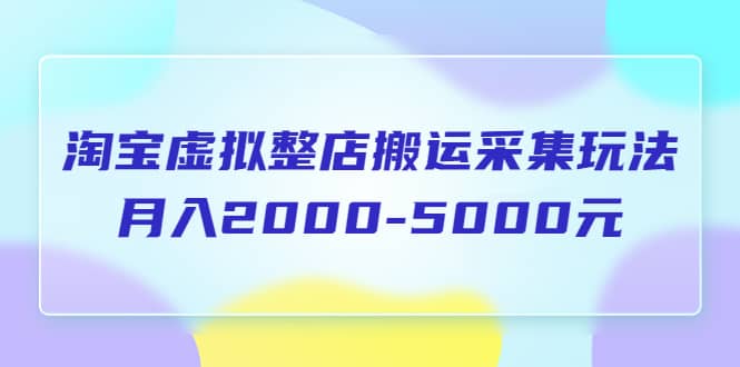 淘宝虚拟整店搬运采集玩法分享课：月入2000-5000元（5节课）-悟空知识星球