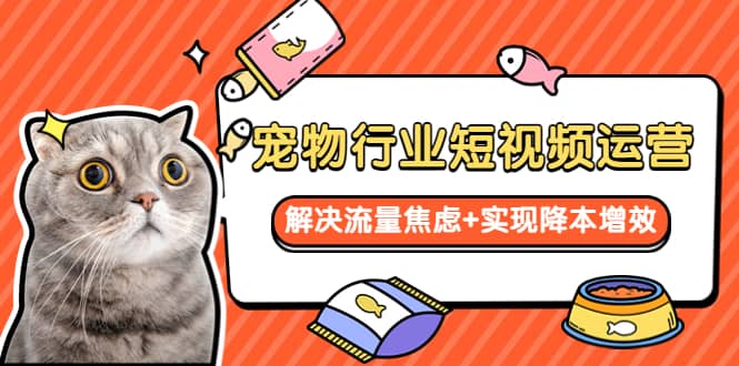 宠物/行业短视频运营 流量增长的一层窗户纸 解决流量焦虑+实现降本增效-悟空知识星球