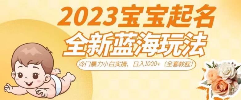 2023宝宝起名全新蓝海玩法，冷门暴力小白实操，日入1000+（全套教程）【揭秘】-悟空知识星球