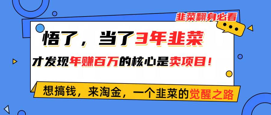 (10759期)悟了,当了3年韭菜,才发现网赚圈年赚100万的核心是卖项目,含泪分享!-悟空知识星球