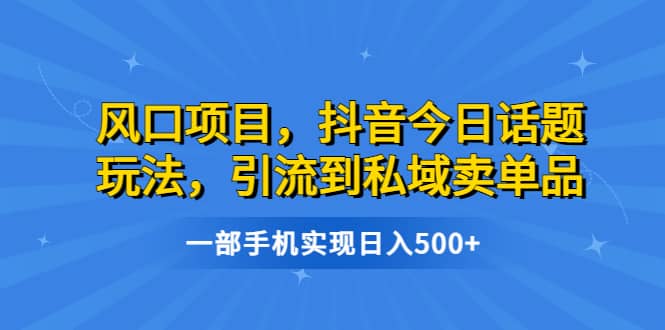 风口项目，抖音今日话题玩法，引流到私域卖单品，一部手机实现日入500+-悟空知识星球