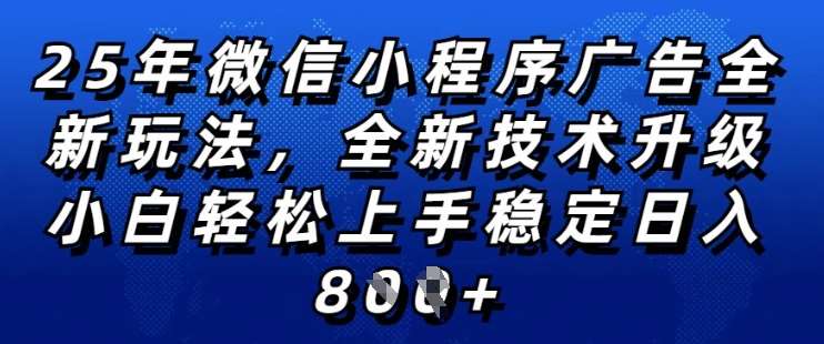 2025年微信小程序全新玩法纯小白易上手，稳定日入多张，技术全新升级，全网首发【揭秘】-悟空知识星球