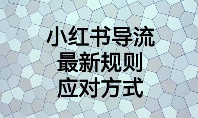 小红书导流最新规则应对方式【揭秘】-悟空知识星球
