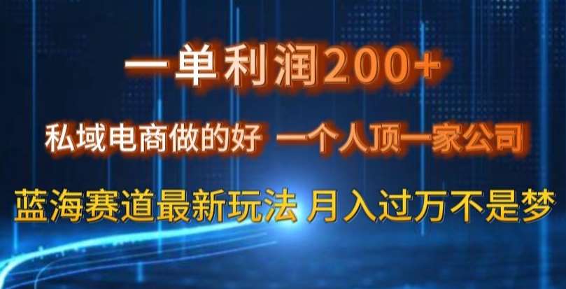 一单利润200私域电商做的好，一个人顶一家公司蓝海赛道最新玩法【揭秘】-悟空知识星球