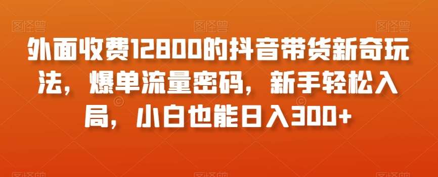外面收费12800的抖音带货新奇玩法,爆单流量密码,新手轻松入局,小白也能日入300+【揭秘】-悟空知识星球
