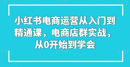 小红书电商运营从入门到精通课,电商店群实战,从0开始到学会-悟空知识星球