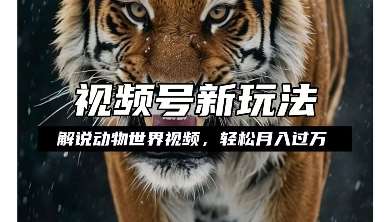 利用动物世界解说视频，赚分成计划收益，轻松月入过W，操作简单【揭秘】-悟空知识星球