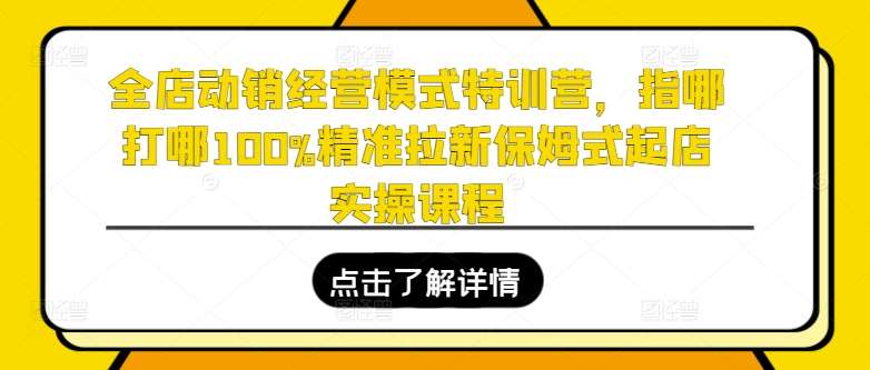 全店动销经营模式特训营,指哪打哪100%精准拉新保姆式起店实操课程-悟空知识星球