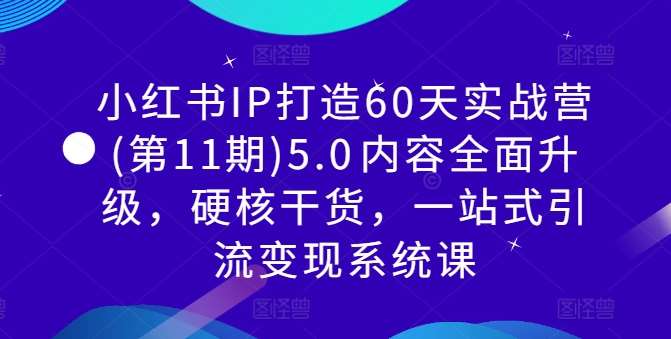 小红书IP打造60天实战营(第11期)5.0​内容全面升级，硬核干货，一站式引流变现系统课-悟空知识星球
