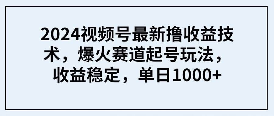 （9651期） 2024视频号最新撸收益技术，爆火赛道起号玩法，收益稳定，单日1000+-悟空知识星球