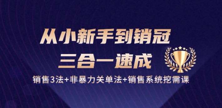 从小新手到销冠 三合一速成：销售3法+非暴力关单法+销售系统挖需课 (27节)-悟空知识星球