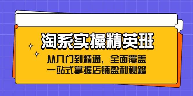 （12276期）淘系实操精英班：从入门到精通，全面覆盖，一站式掌握店铺盈利秘籍-悟空知识星球