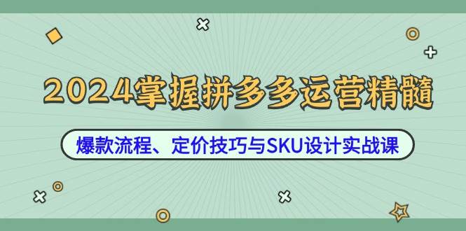 （12703期）2024掌握拼多多运营精髓：爆款流程、定价技巧与SKU设计实战课-悟空知识星球